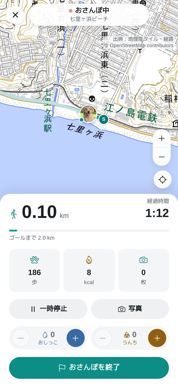 おさんぽの記録中の画面。地図の下に距離・経過時間・歩数。