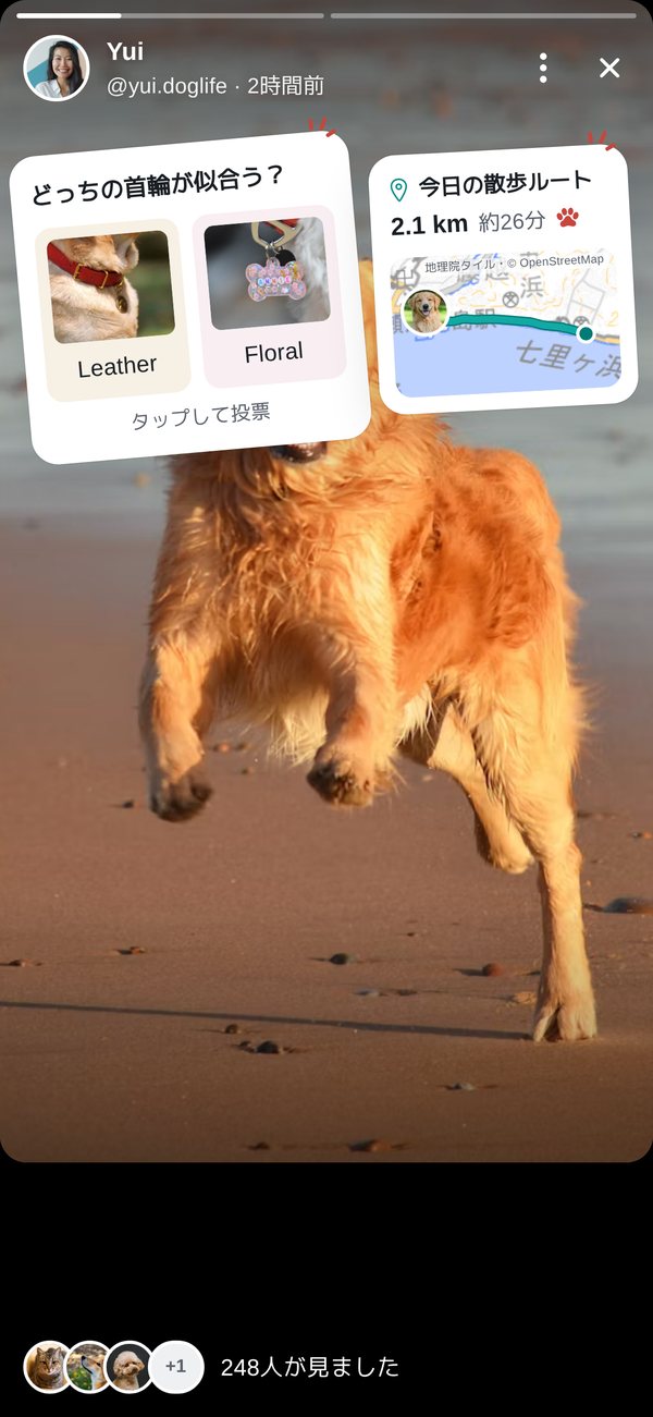 ストーリーの画面。首輪のアンケートと、今日の散歩ルートのスタンプ。