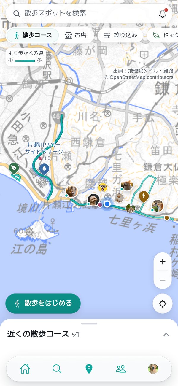 散歩コースの地図。海沿いのコースが線で表示されている。